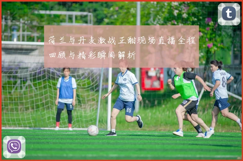 荷兰与丹麦激战正酣现场直播全程回顾与精彩瞬间解析