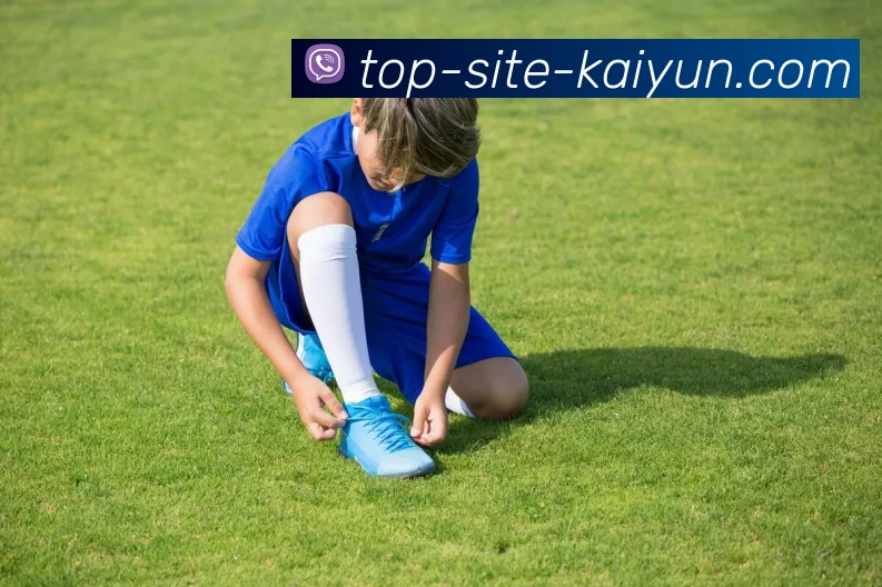 kaiyun.comAPP 封面图